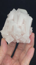 Load and play video in Gallery viewer, PInk Halite cluster from Trona, California with crystal info card ZB32

