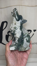 Load and play video in Gallery viewer, Moss Agate Howling Wolf ZB67 with druzy and crystal info card
