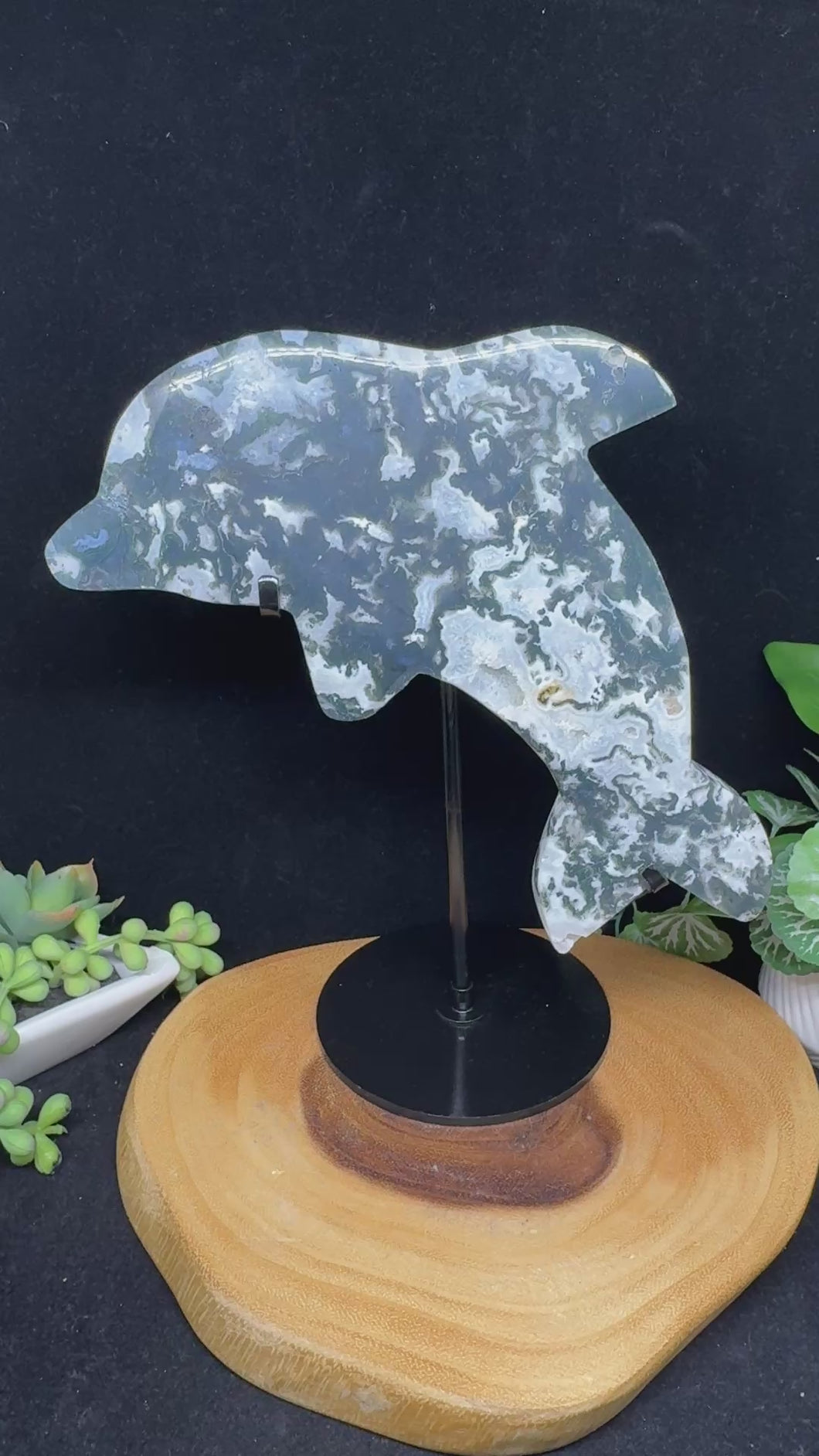 Moss Agate Dolphin Spirit Animal SZ15 Harmony • Flow • Emotional Balance