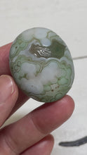 Load and play video in Gallery viewer, Gobi agate palm stone from Inner Mongolia ZE29 w/ crystal info card
