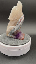 Load and play video in Gallery viewer, 1.1 lb Amethyst Lace Agate Wolf Carving SZ67 Intuition • Guardianship • Inner Strength
