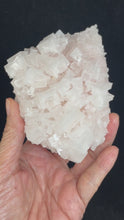 Load and play video in Gallery viewer, PInk Halite cluster from Trona, California with crystal info card ZB57
